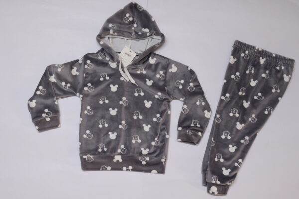 Grey Micky Printed Winter Set