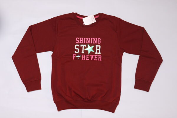 Maroon printed Sweatshirt